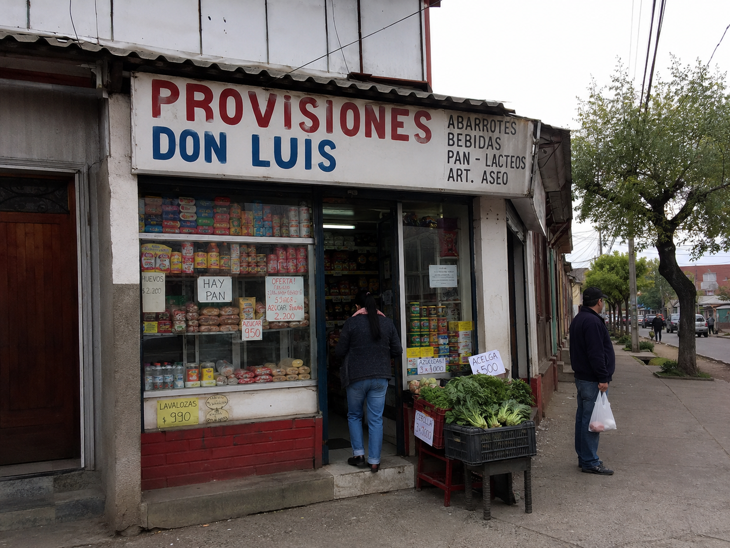 Pequeño almacén de barrio llamado Provisiones Don Luis con persona ingresando al local.